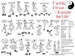 tai chi elmhurst