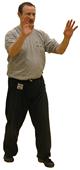 Tai Chi Qi Gong Shibashi